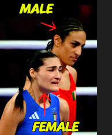Breaking News: Boxing officials stepped in and discovered more Olympic boxers who failed gender eligibility test.